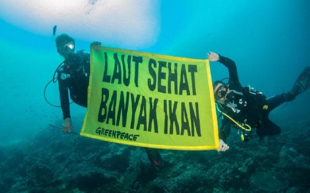 Kapal Rainbow Warrior Greenpeace Kunjungi Raja Ampat