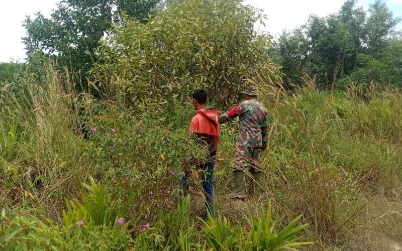 Babinsa Mekarsari Lakukan Patroli, Cegah Kebakaran Hutan