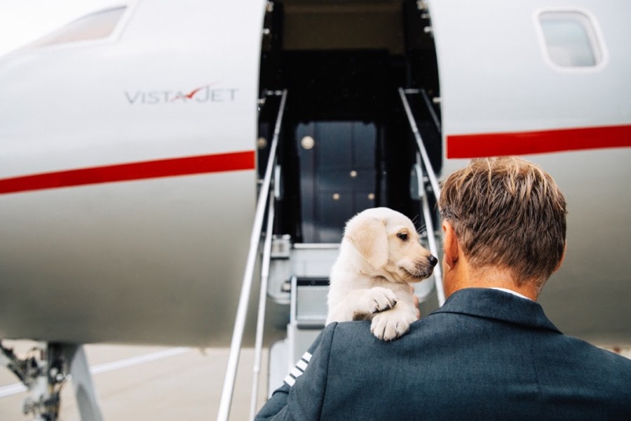 Unleashing Adventure: VistaJet Reports Rising Demand in Pet Travel and Reveals the Must-Visit Destinations for this Summer