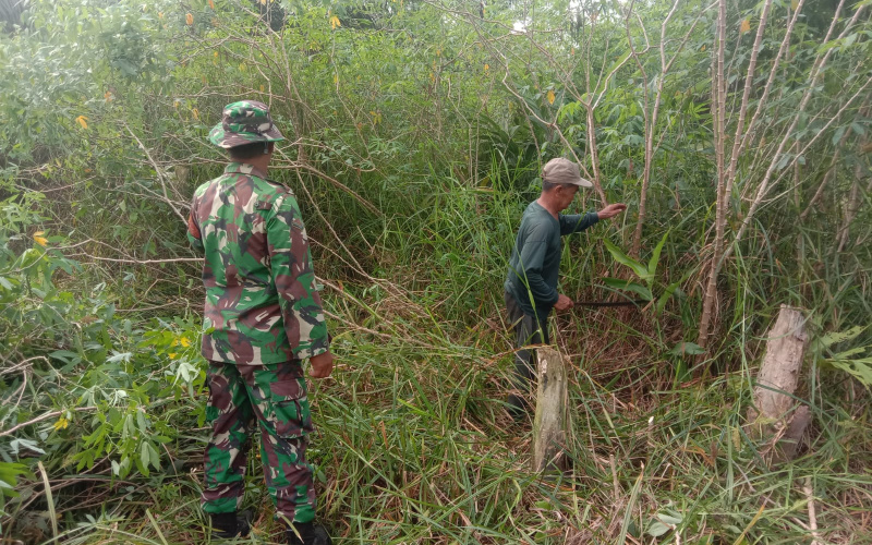 Babinsa Pangkalan Sesai Berikan Sosialisasi Bahaya Terjadinya Karhutla