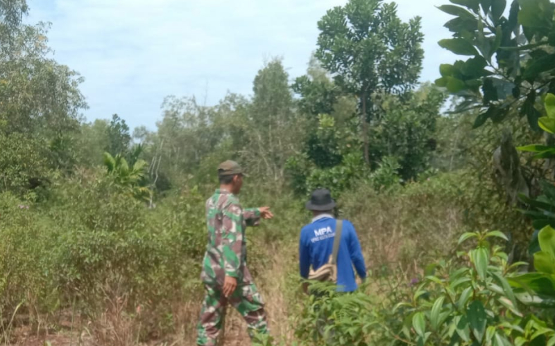 Babinsa Mundam Gencar Patroli dan Sosialisasi Cegah Karhutla di Dumai