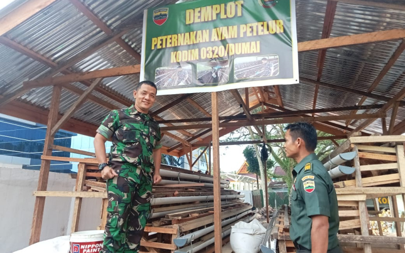 Dukung Ketahanan Pangan, Dandim Dumai Tinjau Demplot Budidaya Ayam Petelur