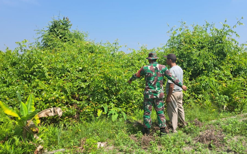 Babinsa Kelurahan Bukit Datuk Patroli Rutin Cegah Karhutla