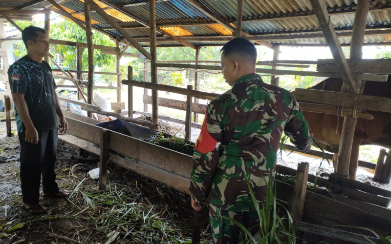 Sosialisasi Pencegahan PMK oleh Sertu Sutarno