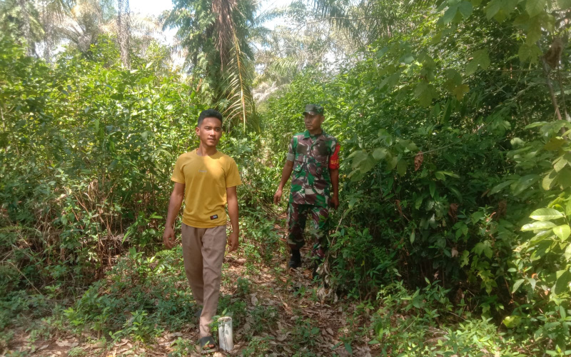 Pelaksanaan Rutin, Patroli Karhutla oleh Babinsa Koramil 02/BK