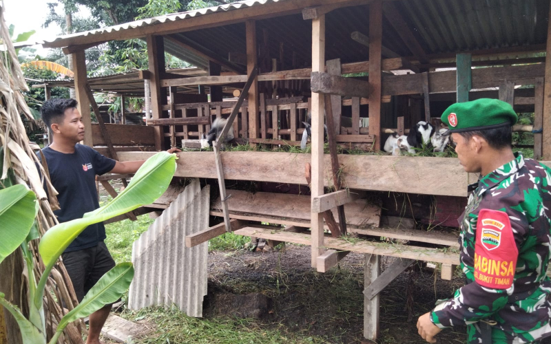 Tips yang Diberikan Babinsa Koramil 01 dalam Menjaga Peternakan Terhindar dari Penyakit