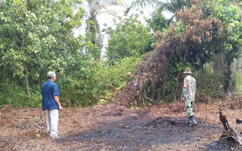 Babinsa Sertu Nono Perkuat Ketahanan Pangan, Edukasi Pemanfaatan Lahan