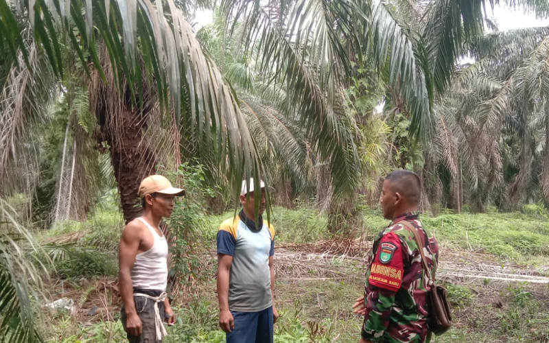 Babinsa Sertu Jainal Arifin Patroli Karhutla dan Imbau Warga Tidak Membakar Lahan
