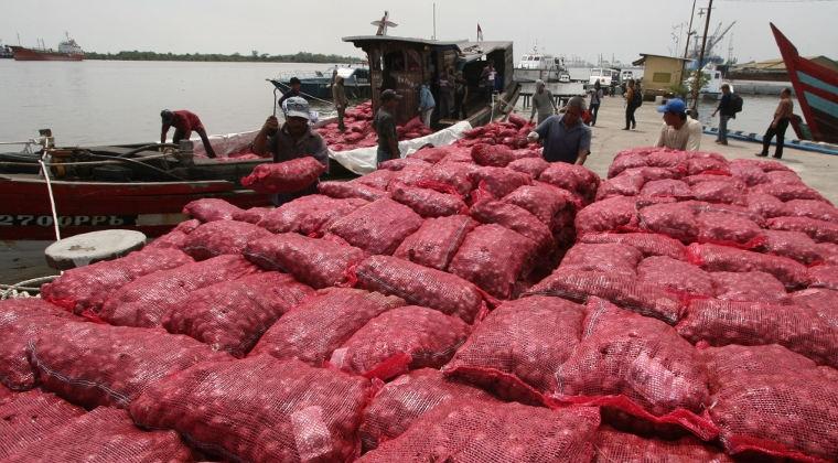Meranti Terima Hibah Puluhan Ton Bawang Merah dari BC Kepri