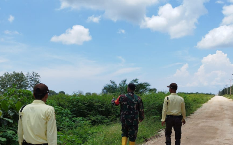 Babinsa Batu Teritip Bersama Sekuriti PT SGP Patroli di Kawasan Hutan