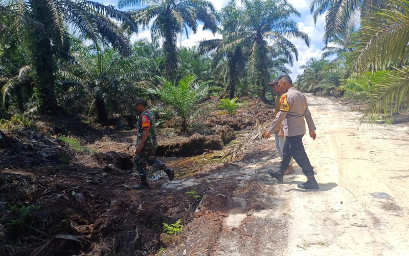 Dengan Patroli Rutin, Babinsa Koramil 02 Pastikan Wilayah Aman dari Titik Api