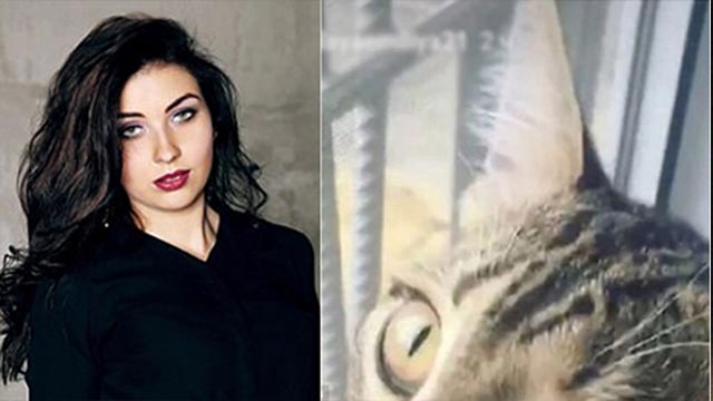 Kucing Ini Ungkap Cinta Terlarang Dosen dan Mahasiswi