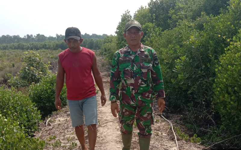 Patroli Karhutla oleh Babinsa Basilam Baru