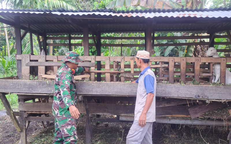 Bentuk Kepedulian Babinsa Terhadap Peternakan di Wilayah Dumai Selatan