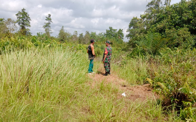 Babinsa Purnama Patroli, Lakukan Pencegahan Agar Terhindar dari Karhutla