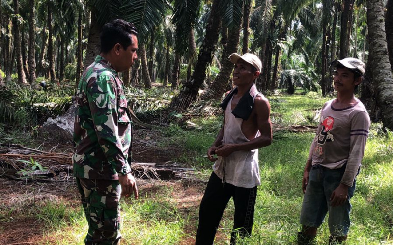 Patroli Karhutla dan Komunikasi Sosial oleh Babinsa Koramil 03/SS