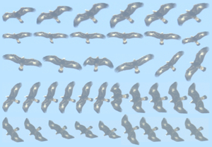 IdentiFlight Partners with Aerovantage to Offer AI-Driven Bird Protection in Chilean Wind Farms