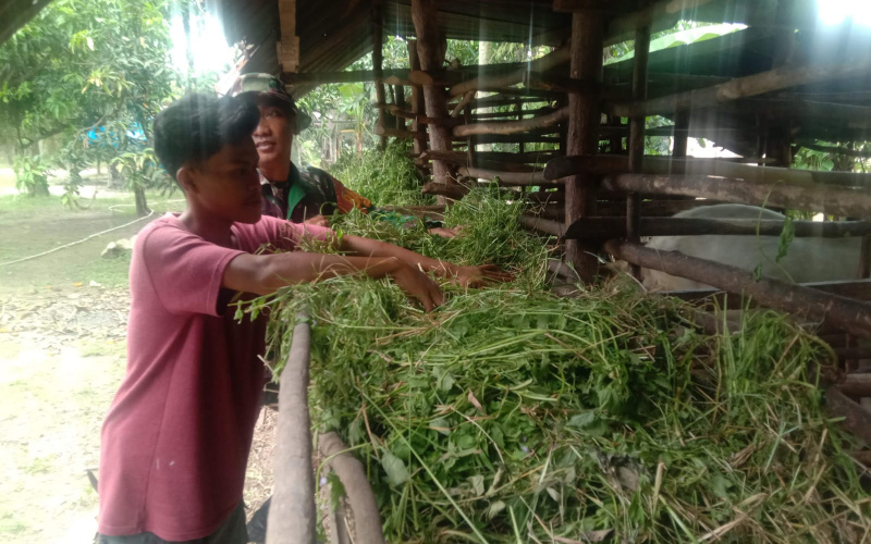 Babinsa Bagan Keladi Beri Pemahaman Kepada Peternak Soal Kesehatan