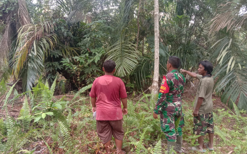 Di Titik Rawan Karhutla, Babinsa Koramil 03 Aktif Patroli