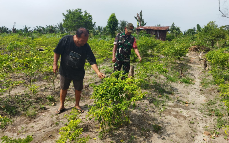 Serka Abu Kasim Patroli Karhutla Rutin, Sekaligus Sambang Sektor Pertanian