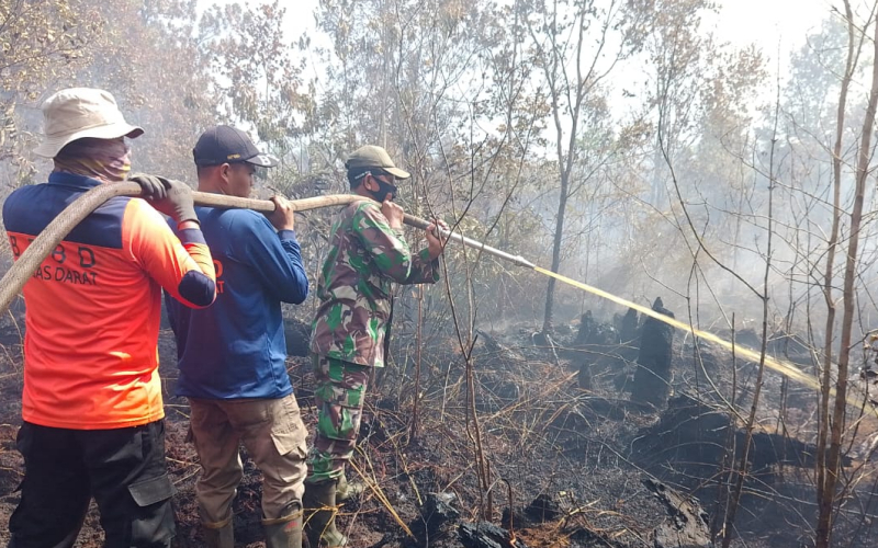TNI–Polri dan Tim Gabungan Lakukan Pemadaman Karhutla di Medang Kampai