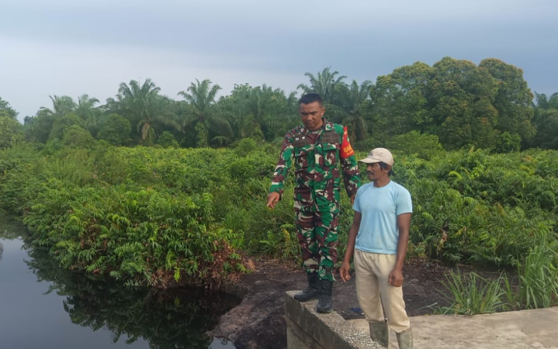 Patroli Karhutla Disertai Sosialisasi Banjir, Babinsa Dampingi Budidaya Kangkung Warga