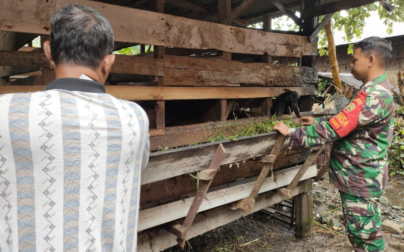 Babinsa Kelurahan Jaya Mukti Sosialisasi Soal Peternakan
