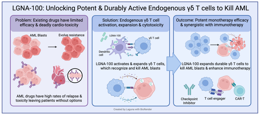 Laguna Announces FDA Clearance of IND Application for LGNA-100, a Novel γδ T Cell Activator for High-Risk Pediatric Leukemias