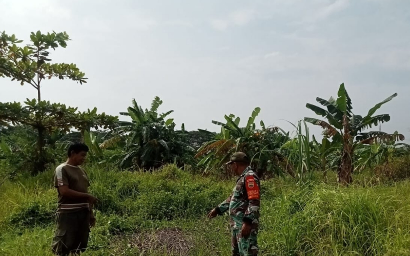Pencegahan Terjadinya Kebakaran Lahan, Babinsa dari Koramil 01 Aktif Patroli