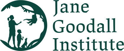 Dr. Jane Goodall, Renowned Ethologist, Conservationist and Animal Behavior Expert Passes Away at Age 91