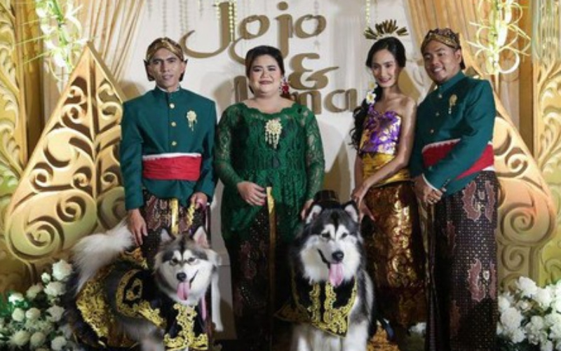 Pernikahan Anjing Gunakan Adat Jawa Dikecam!