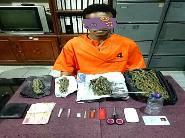 Kembangkan Kasus Narkotika di Gaung, Pelaku Baru Diamankan Sat Resnarkoba Polres Inhil