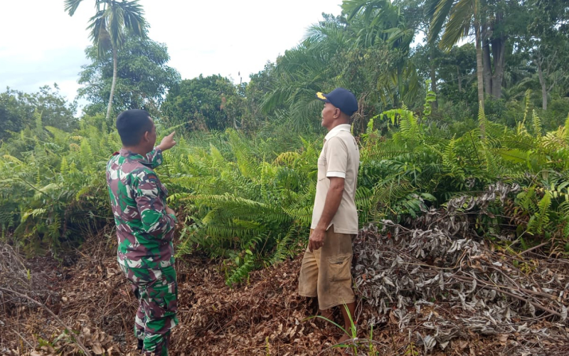 Cegah Karhutla, Babinsa Bagan Keladi Lakukan Patroli dan Dukung Ketahanan Pangan