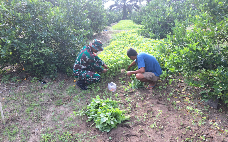 Serda Andri Widodo Dampingi Petani Lokal, Giat Karya Nyata