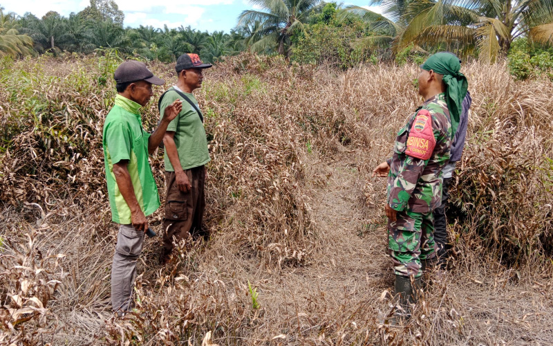 Babinsa Koramil 03 Patroli Pencegahan Karhutla di Sei Geniot