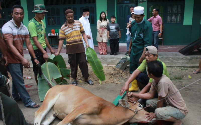Dandim Dumai Hadiri Pemotongan Hewan Kurban di Masjid Al Firman