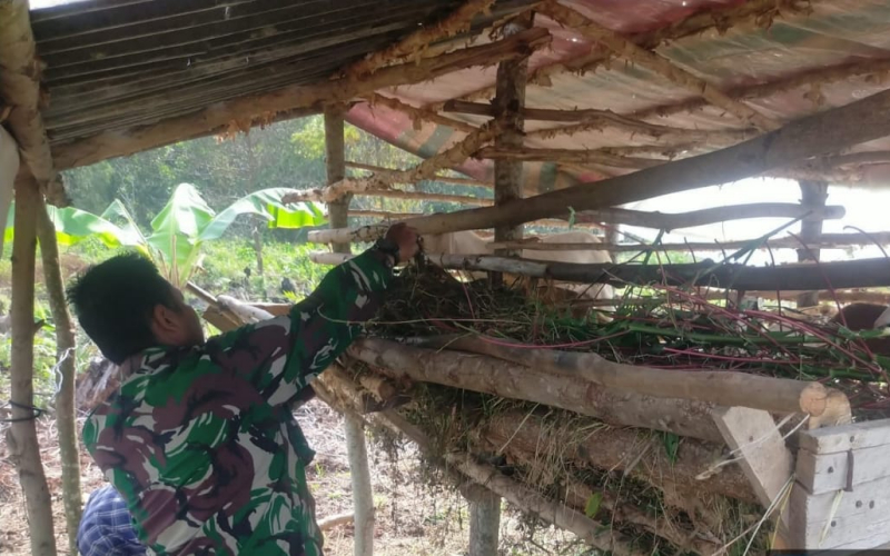 Dandim Ronald Manurung Apresiasi Babinsa dalam Edukasi dan Pemantauan PMK