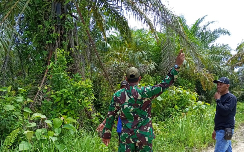 TNI Aktif Patroli di Sungai Sembilan, Pastikan Wilayah Aman dari Ancaman Karhutla