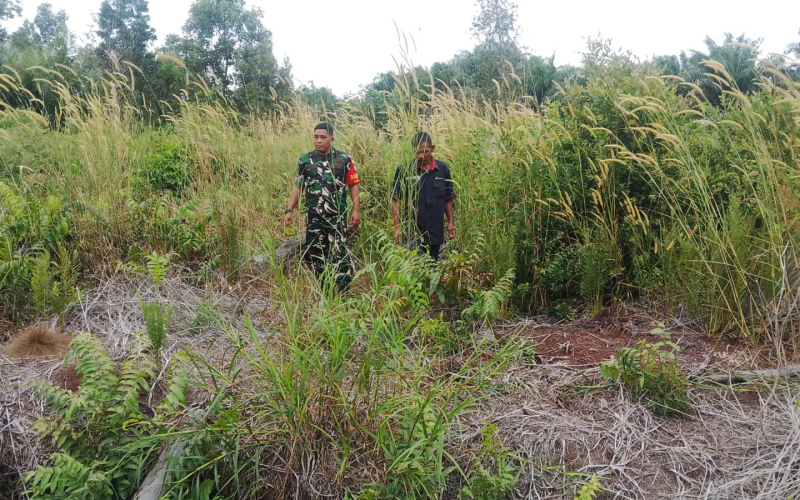 Patroli Karhutla di Tanjung Palas: Babinsa Ajak Warga Tingkatkan Kesadaran Bahaya Kebakaran