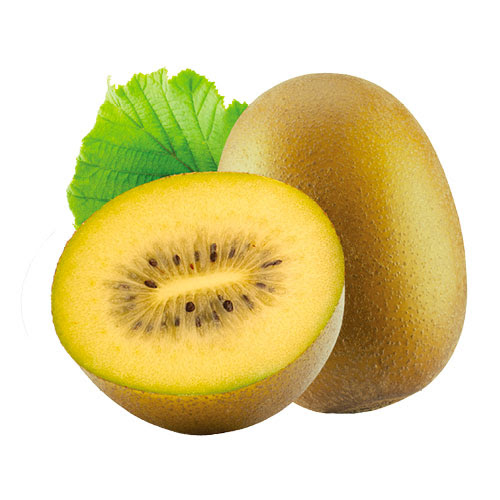 The European Yellow Kiwi is Back in Asia