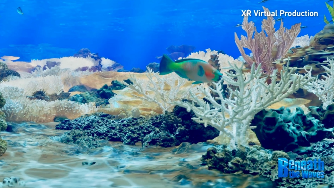 CGTN Releases Interview Video Highlighting Coral Reef Crisis in the South China Sea