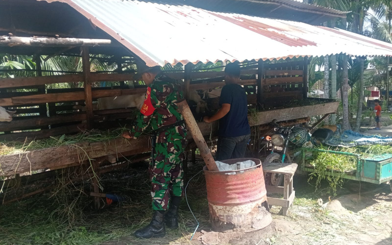 Antisipasi Wabah PMK, Babinsa Bumi Ayu Giat Pengecekan Kesehatan di Peternakan