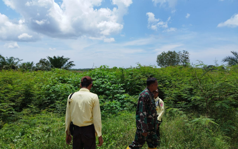 Giat Rutin, Serda Miftah Patroli Cegah Kebakaran Hutan
