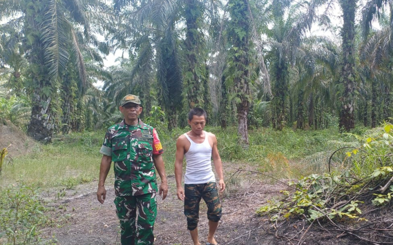Babinsa Gurun Panjang Patroli Karhutla di Jalan Sidomulyo