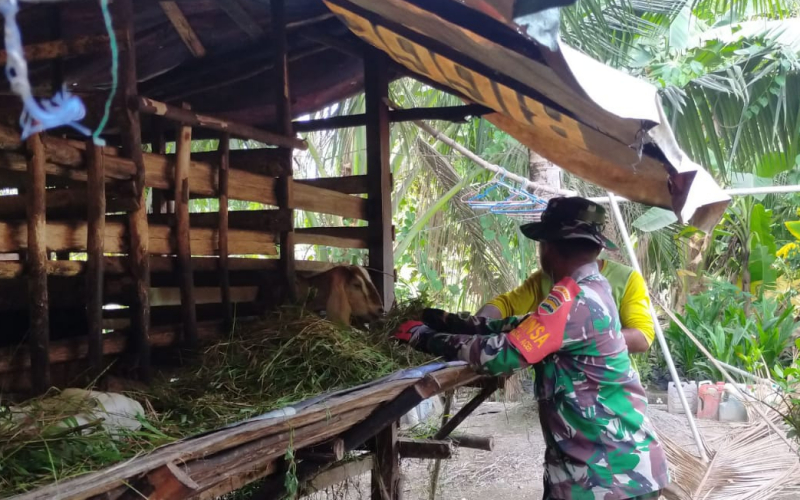 Antisipasi PMK, Babinsa Sungai Sembilan Rutin Pantau Kesehatan Hewan Ternak