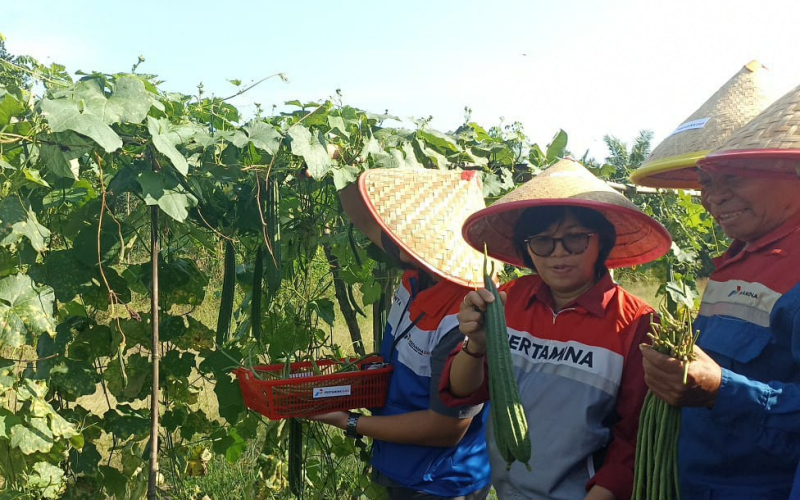 Pertagas Dorong Kemandirian Ekonomi Lewat Panen Raya dan Usaha Entok Petelur
