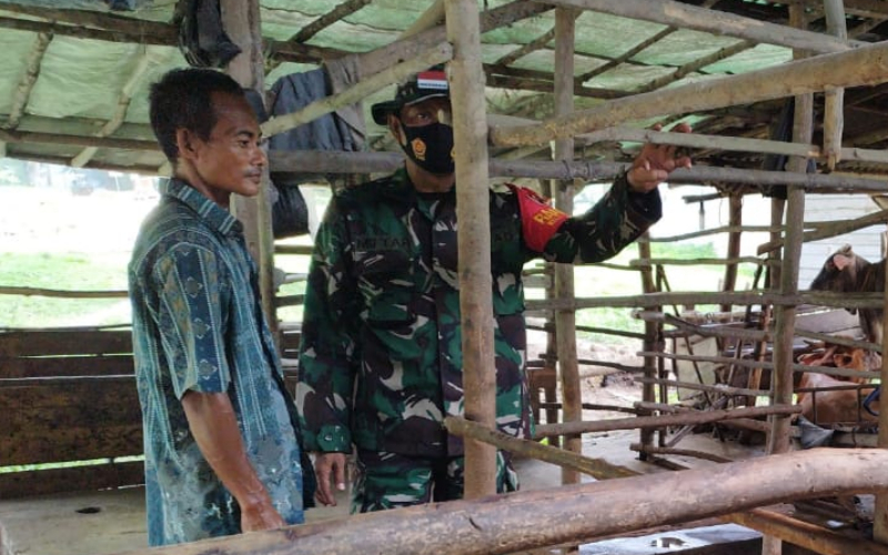 Serda Miftah Giat Pengecekan PMK di Peternakan