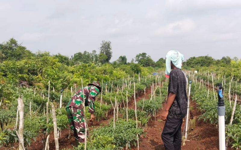 Babinsa: Buka Lahan dengan Membakar Merugikan dan Bisa Dipidana
