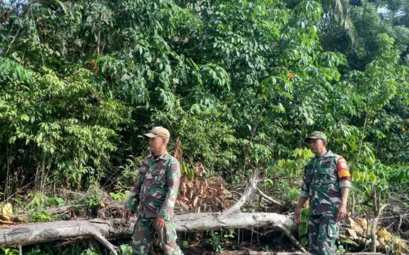 Patroli Karhutla di Bukit Nenas, TNI Ingatkan Warga Bahaya Asap dan Sanksi Hukum