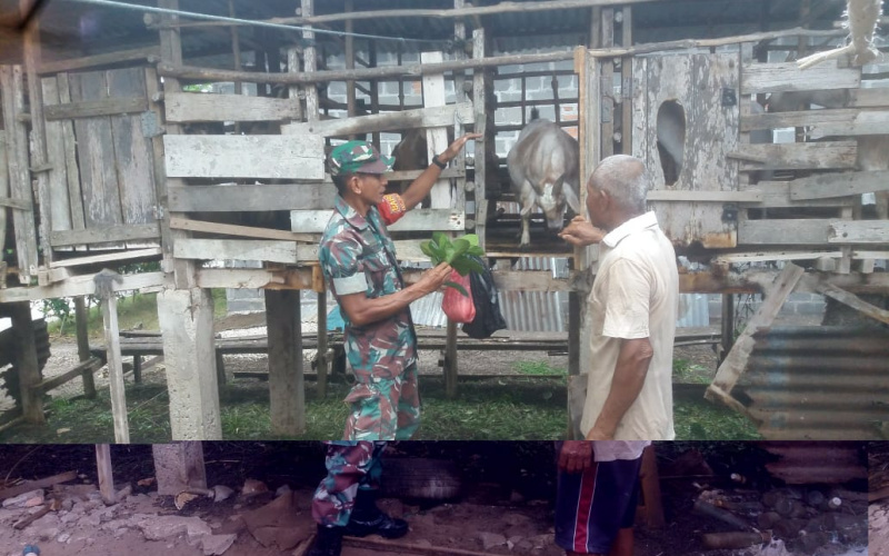 Babinsa Koramil 01/Dumai Sosialisasi Pencegahan Penyakit Mulut dan Kuku